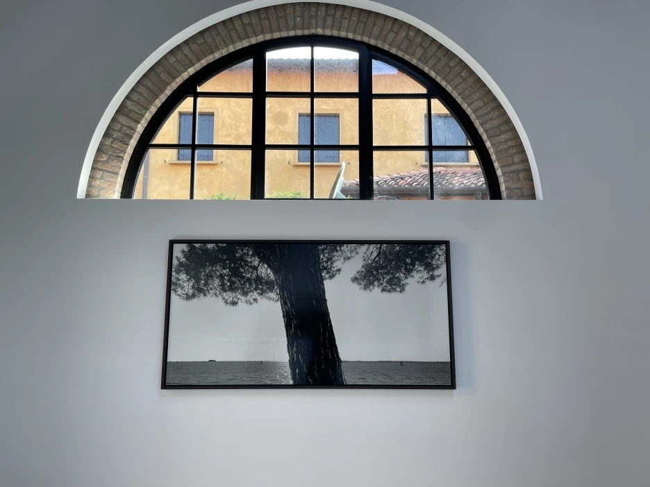 IMG_6255.jpg?type=w1