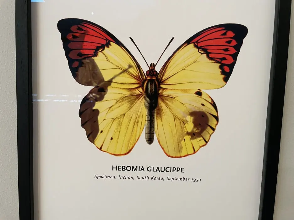 IMG_1329.JPG?type=w1