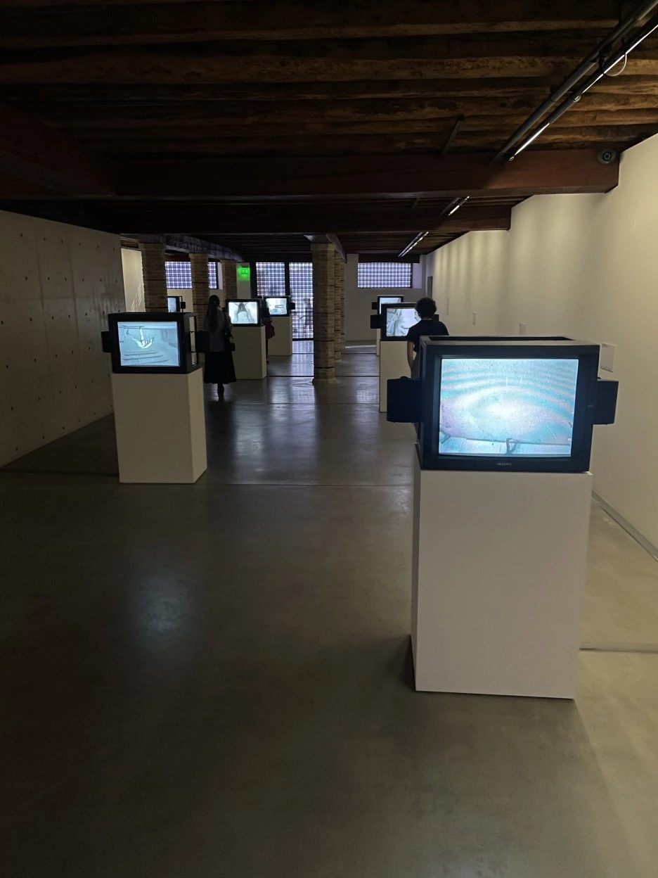 IMG_7272.jpg?type=w1