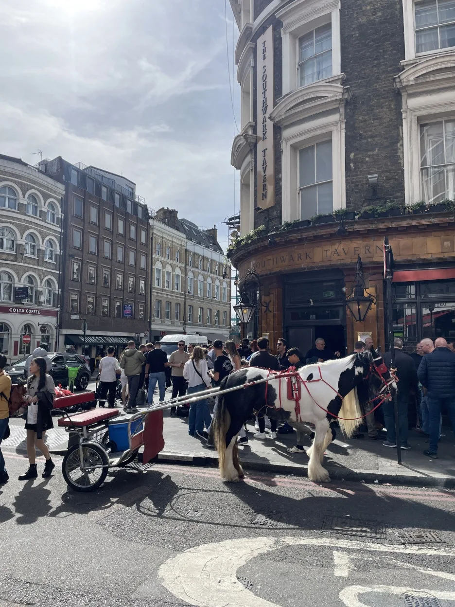 IMG_5546.JPG?type=w1