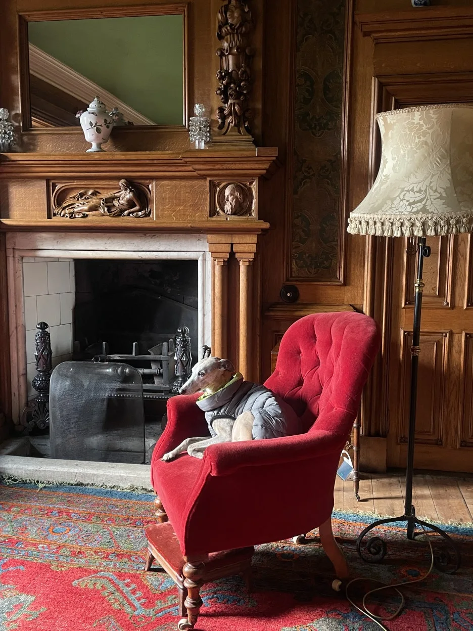 IMG_4525.JPG?type=w1