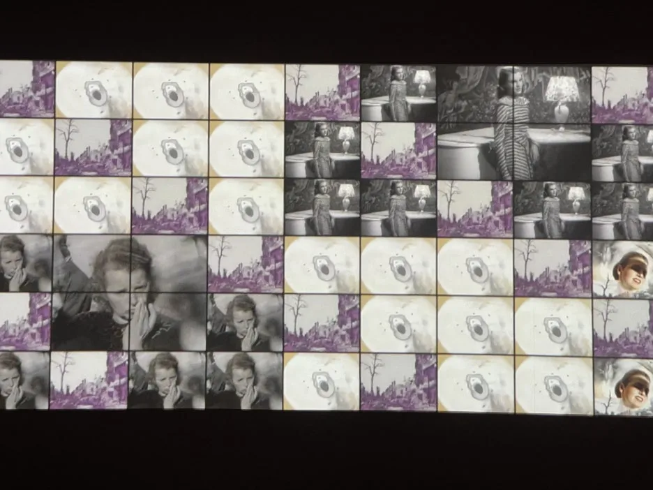 IMG_8985.JPG?type=w1