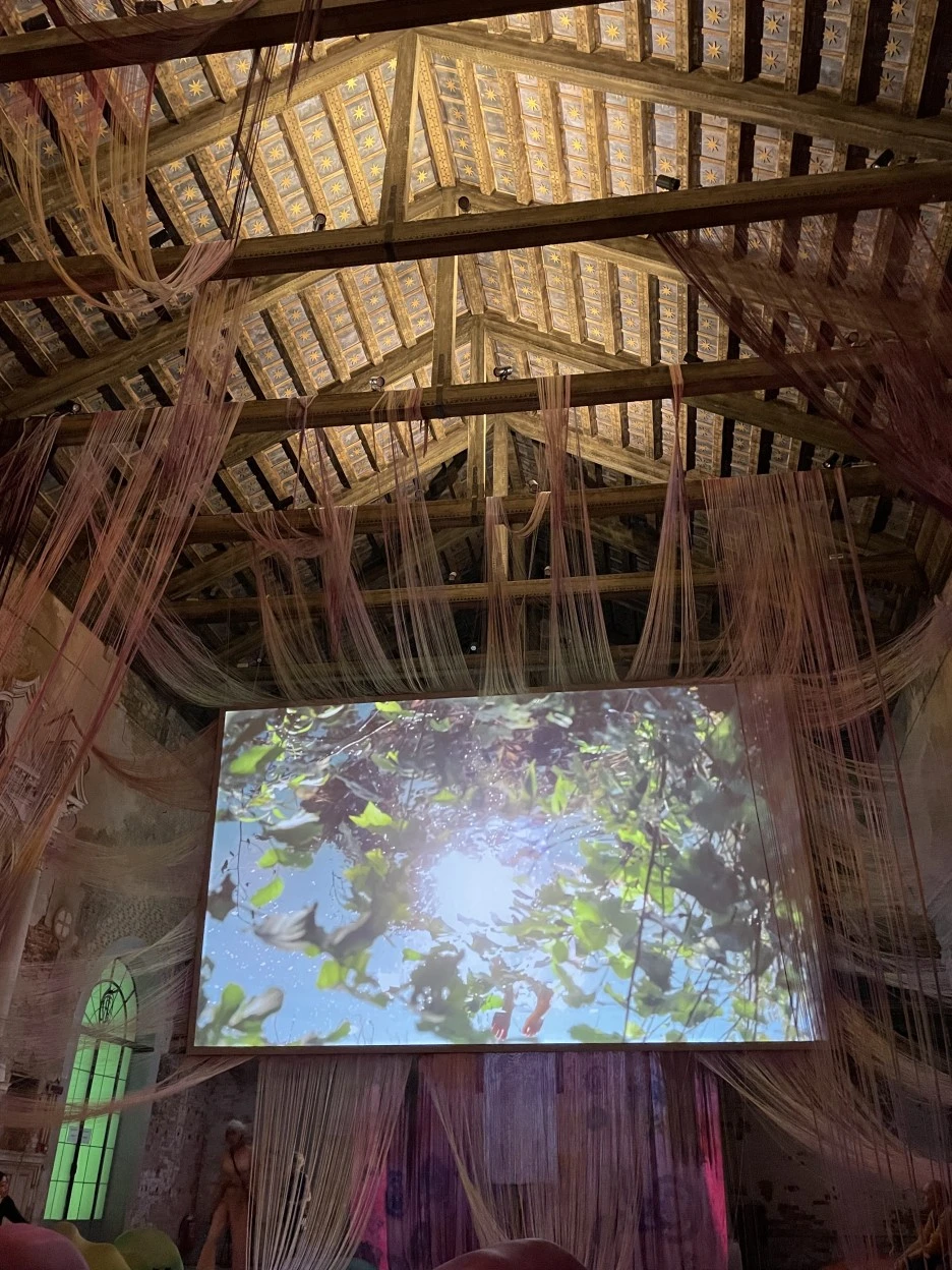 IMG_6246.jpg?type=w1