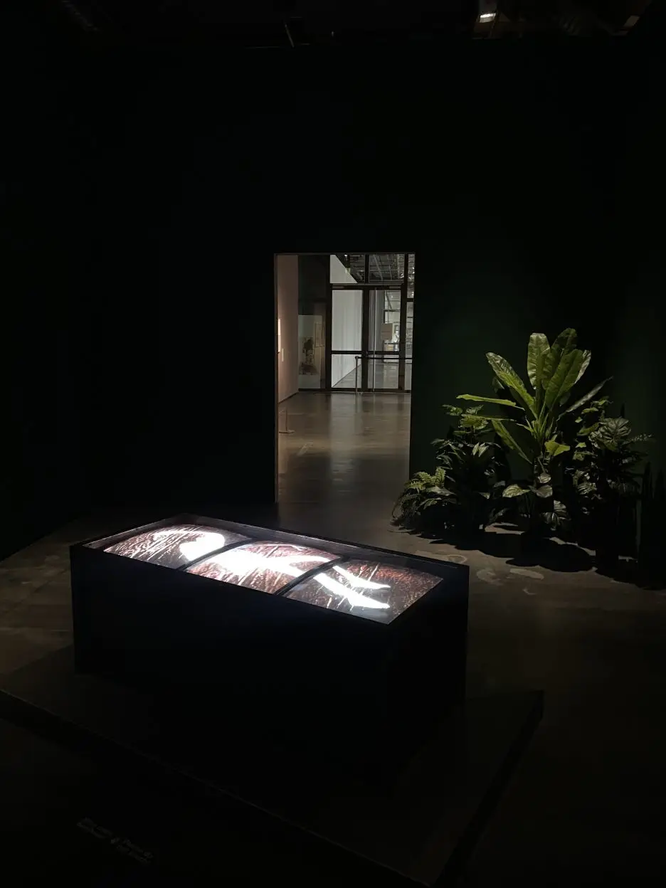 IMG_9002.JPG?type=w1