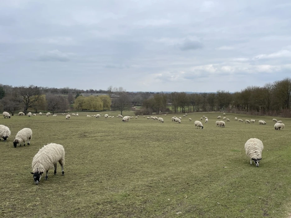 IMG_2988.JPG?type=w1