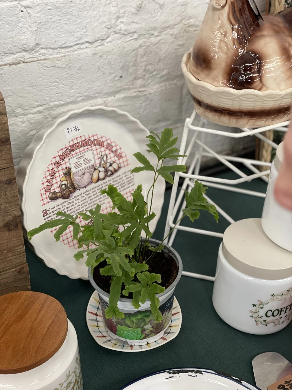 IMG_3120.jpg?type=w1