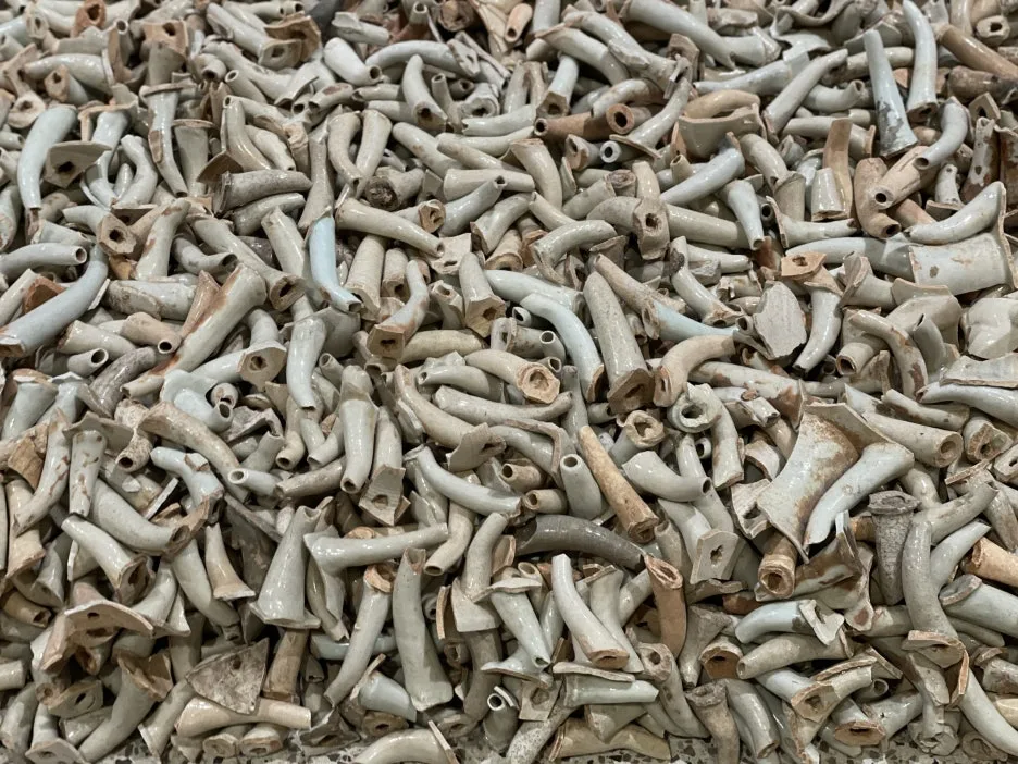 IMG_2286.jpg?type=w1