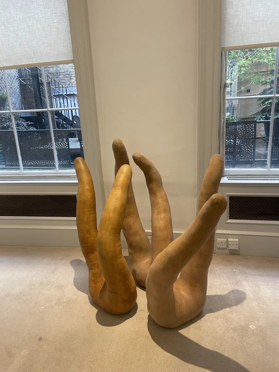 IMG_3363.JPG?type=w1