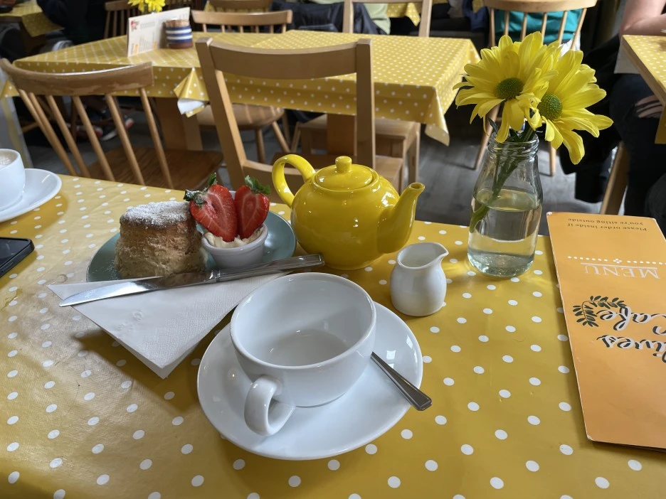 IMG_4850.JPG?type=w1