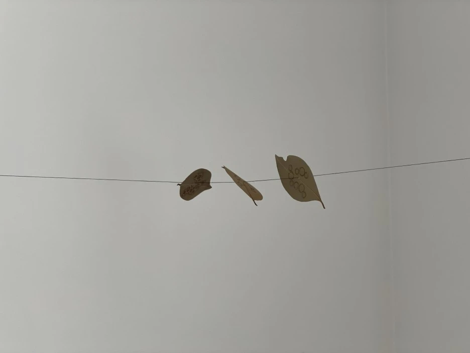 IMG_1173.JPG?type=w1