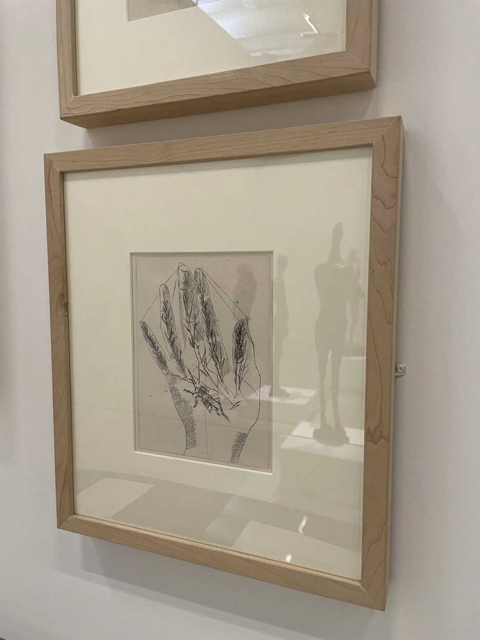 IMG_7070.JPG?type=w1