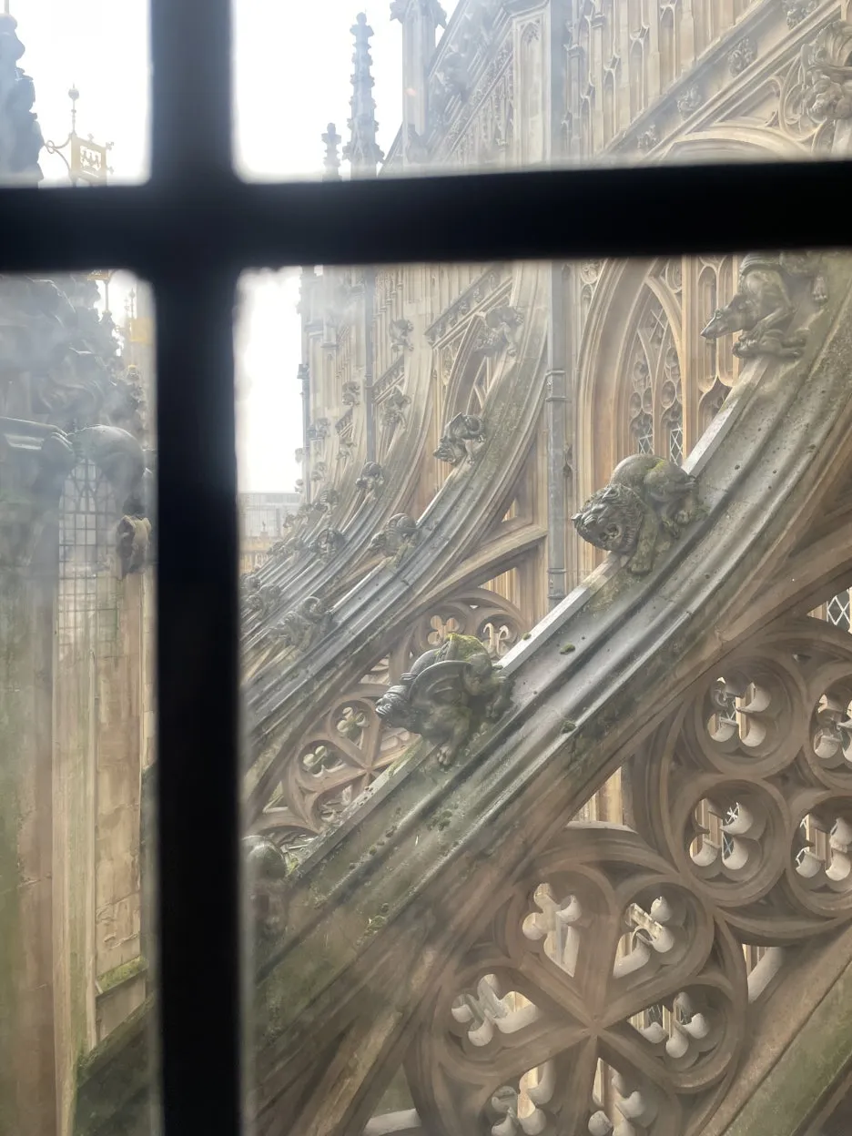 IMG_2382.JPG?type=w1