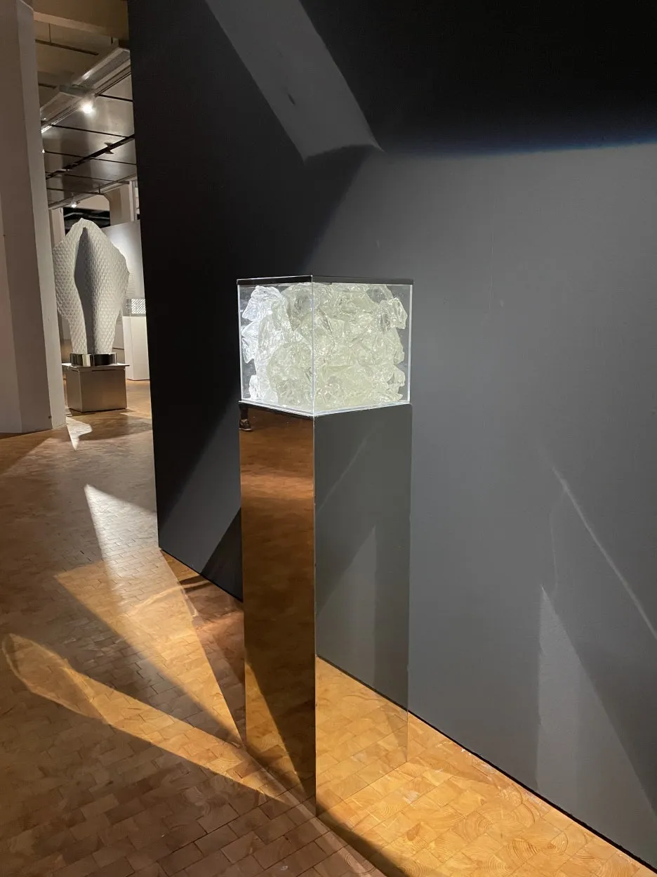 IMG_8898.JPG?type=w1