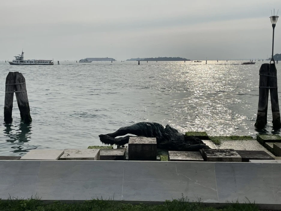 IMG_5638.jpg?type=w1