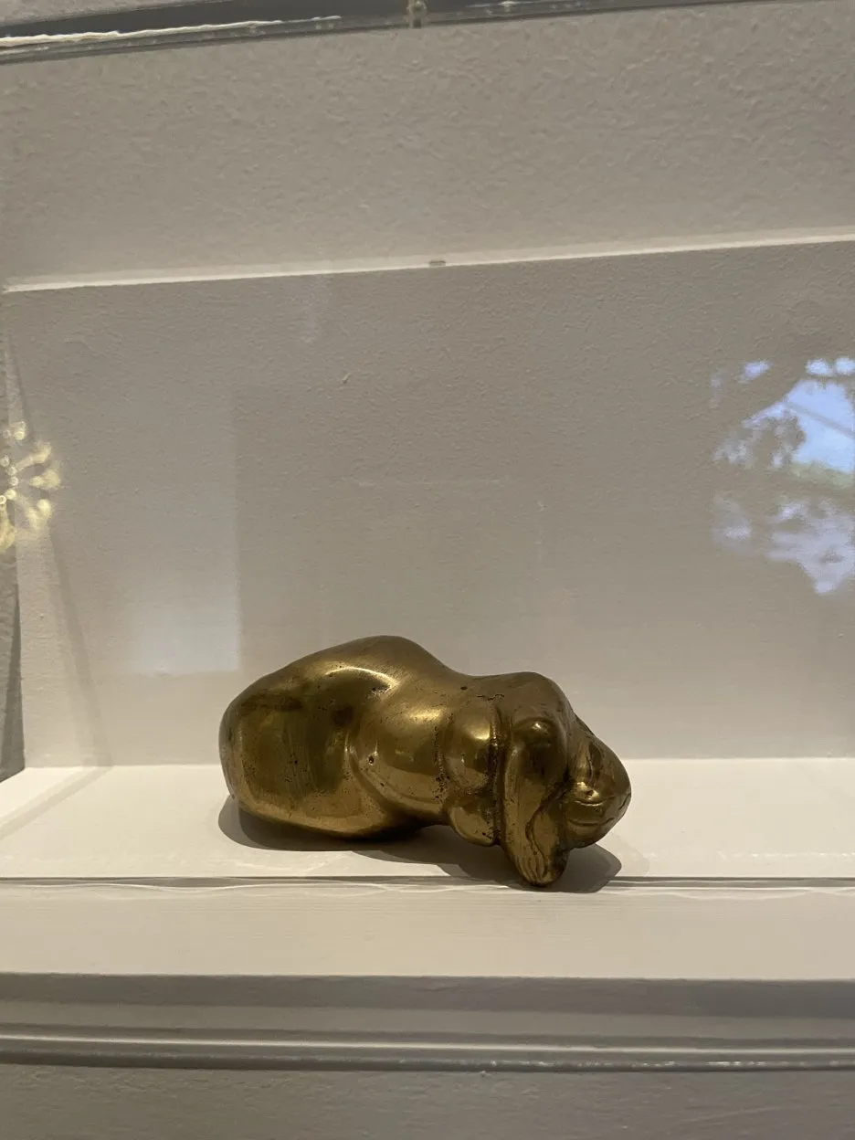 IMG_9846.JPG?type=w1