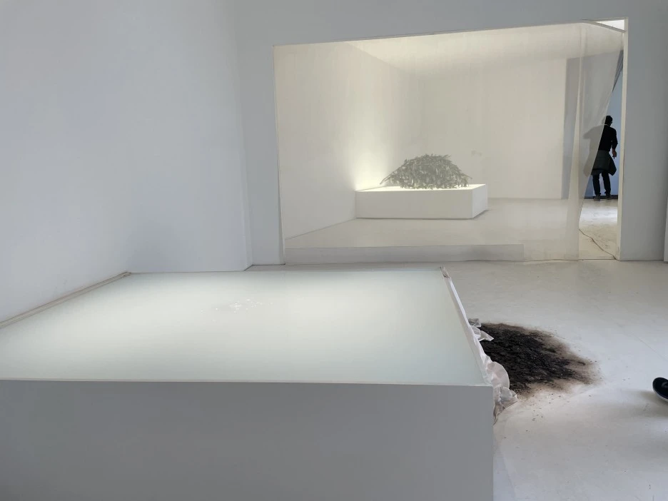 IMG_5473.jpg?type=w1