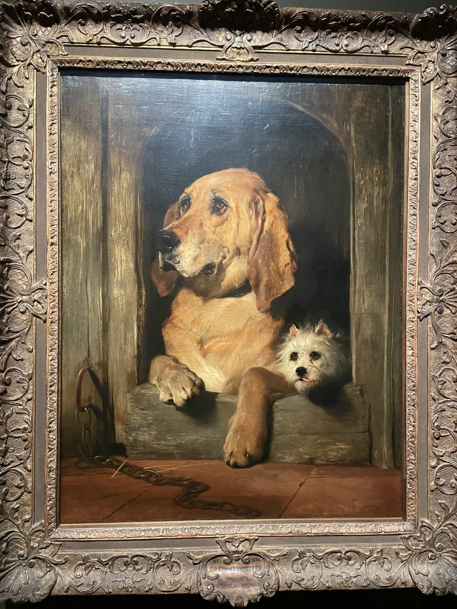 IMG_1393.JPG?type=w1