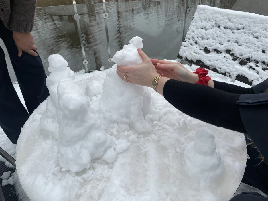 IMG_1746.jpg?type=w1