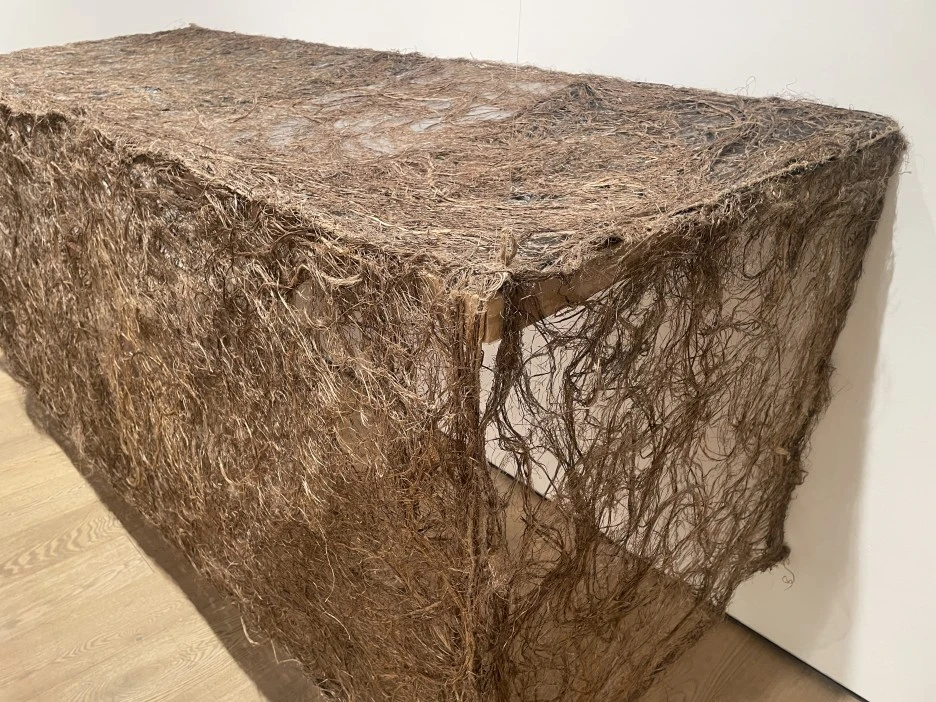 IMG_3391.JPG?type=w1