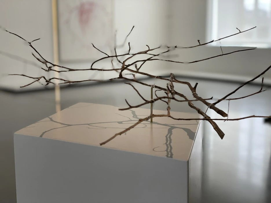 IMG_1170.jpg?type=w1