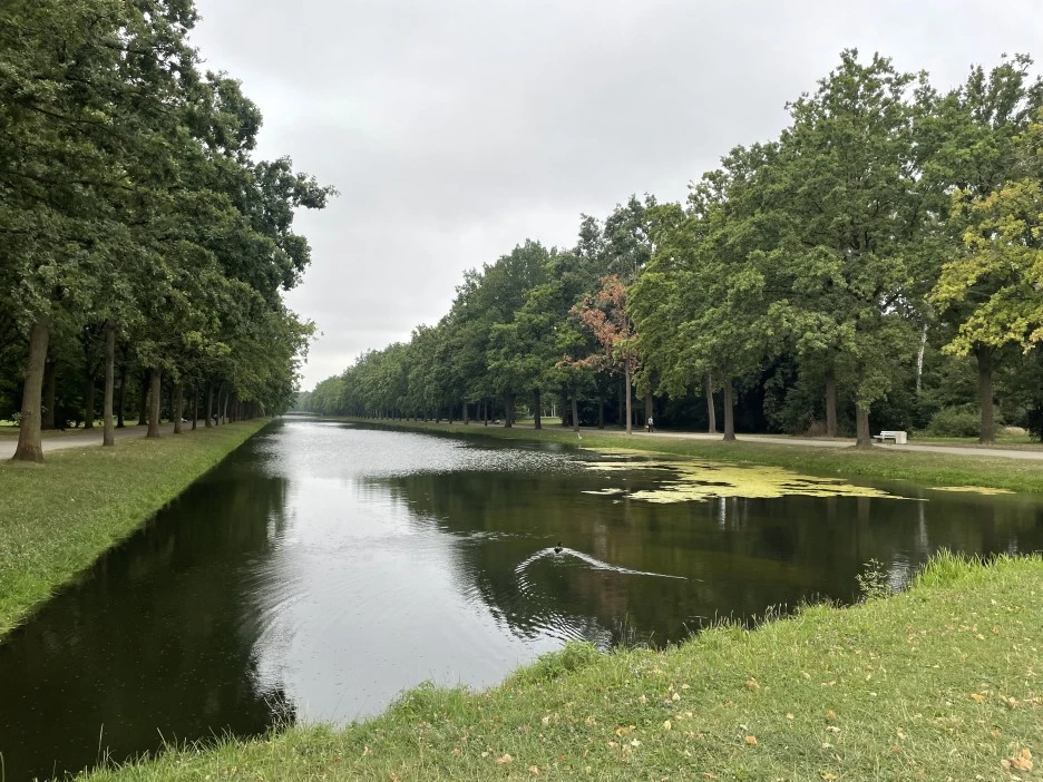 IMG_2260.jpg?type=w1