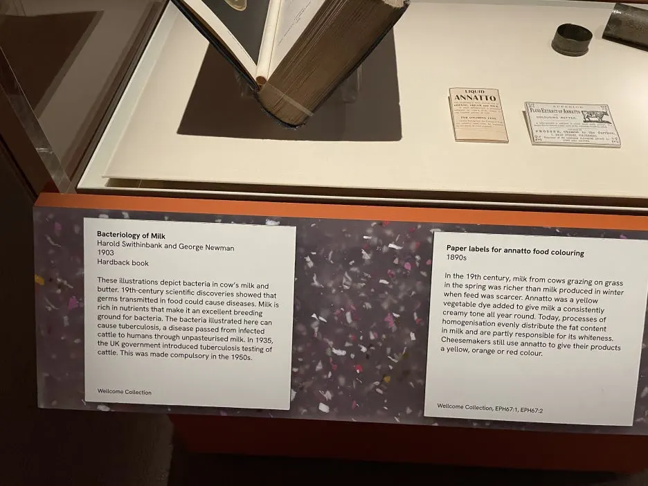 IMG_2988.JPG?type=w1