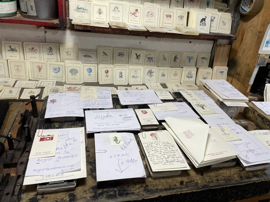 IMG_6069.jpg?type=w1