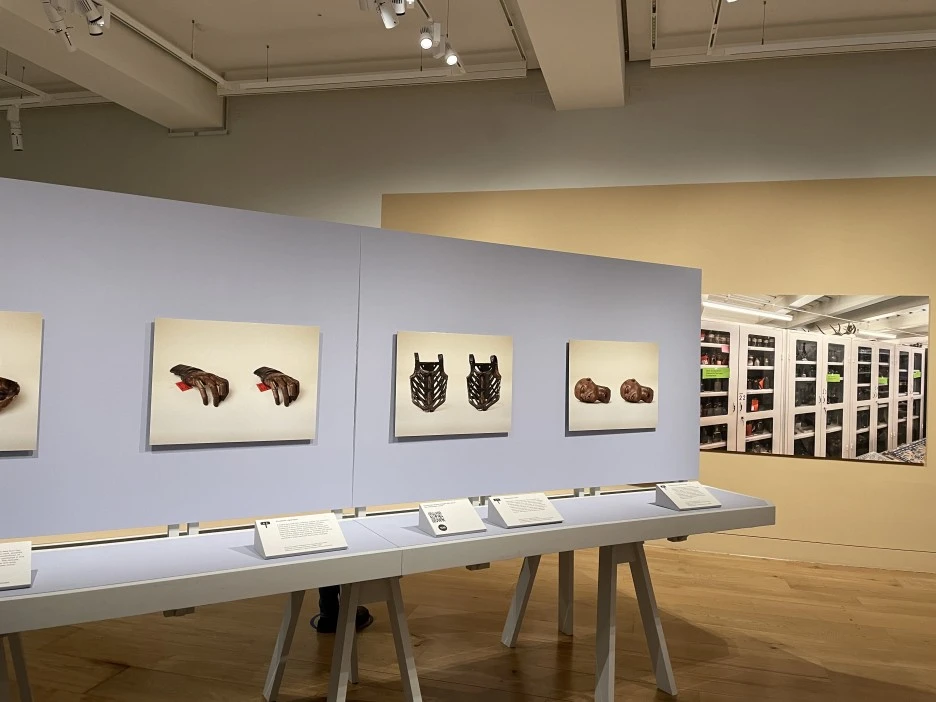 IMG_3765.JPG?type=w1