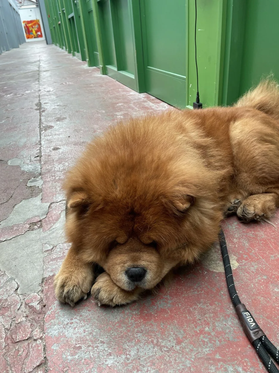 IMG_2065.JPG?type=w1