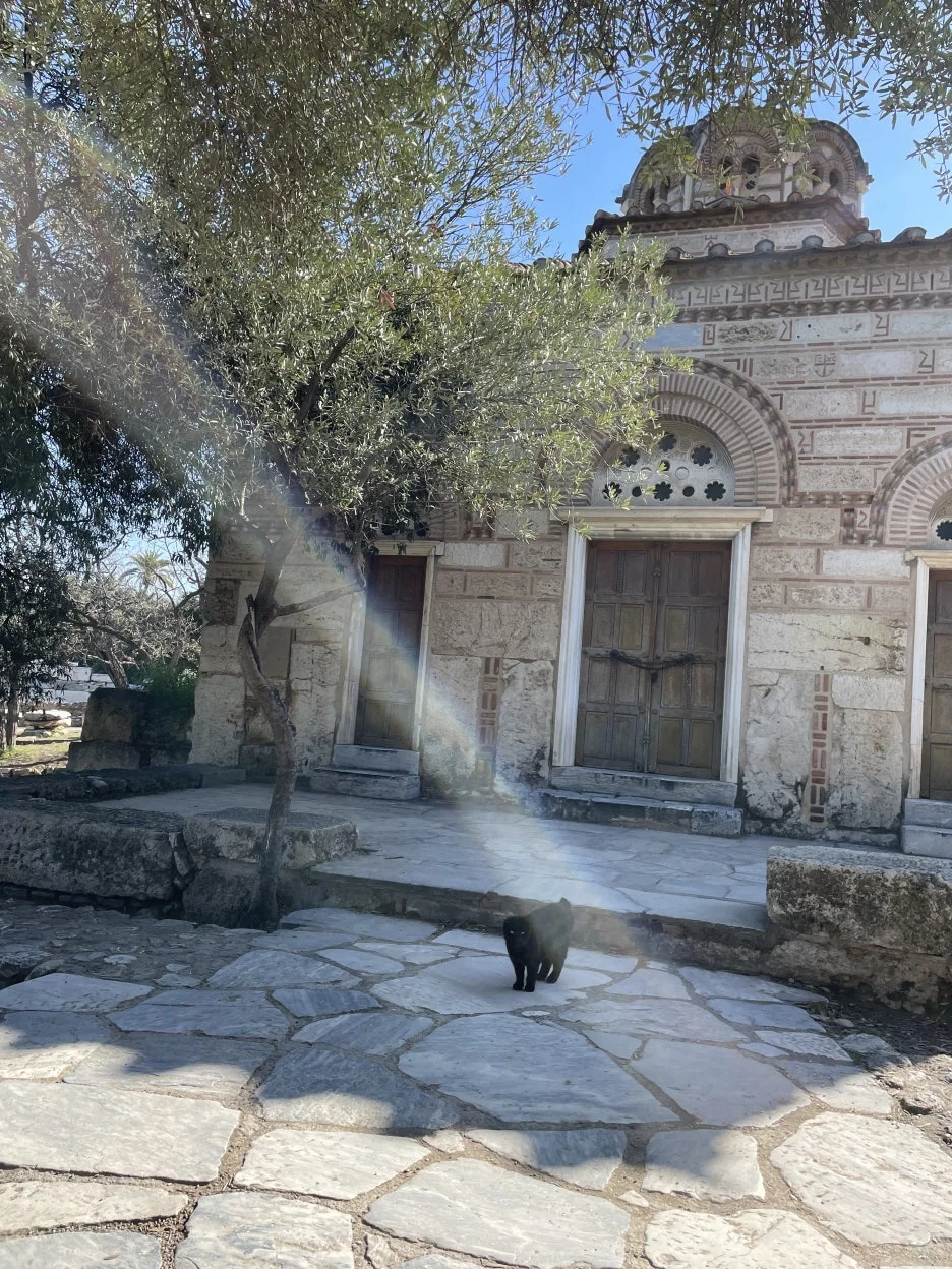 IMG_3175.JPG?type=w1