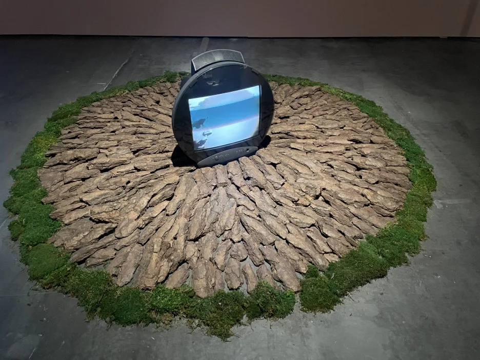 IMG_9005.JPG?type=w1