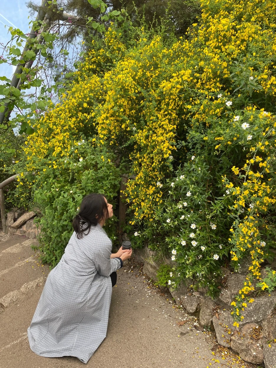 IMG_5589.JPG?type=w1