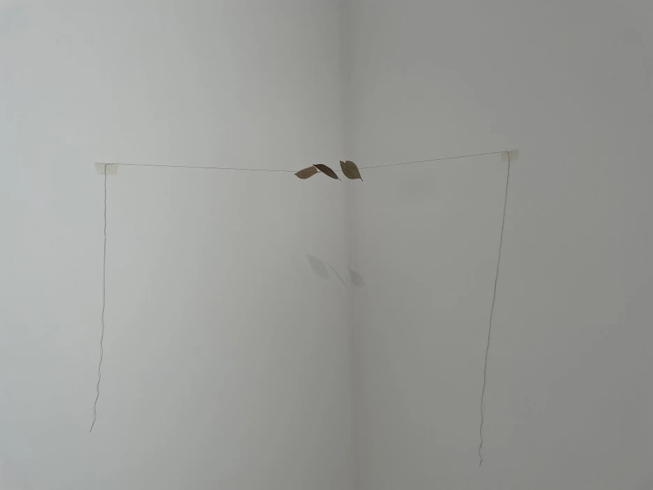 IMG_1172.JPG?type=w1