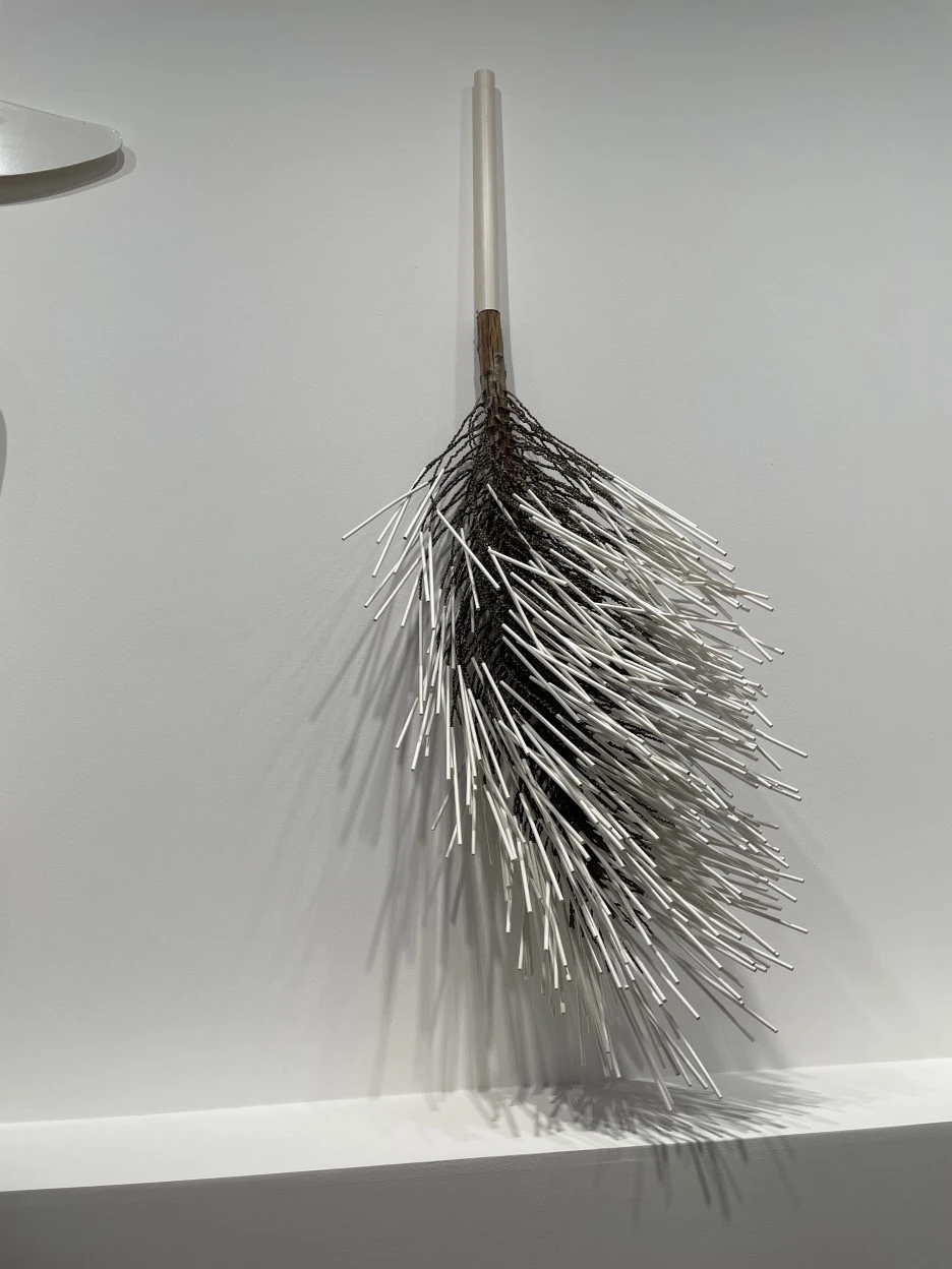 IMG_7755.JPG?type=w1