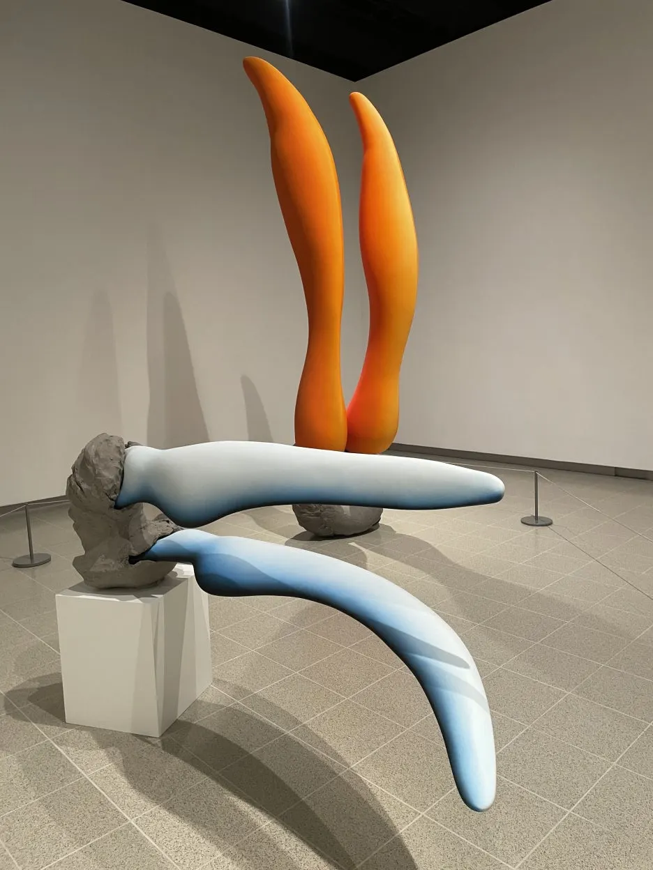 IMG_5568.JPG?type=w1