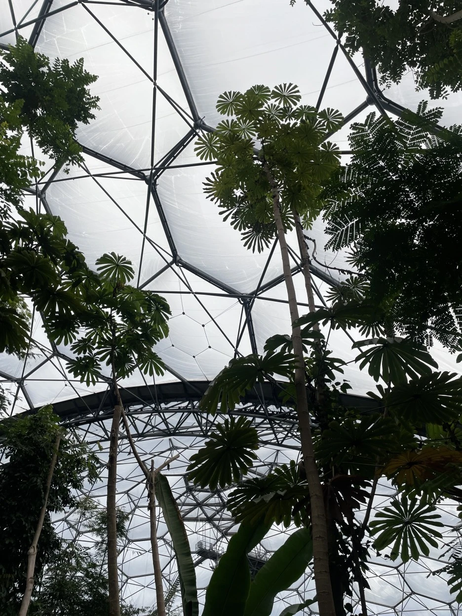 IMG_5245.JPG?type=w1