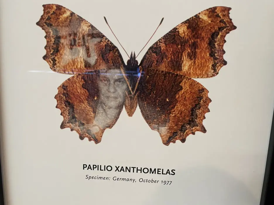 IMG_1328.JPG?type=w1