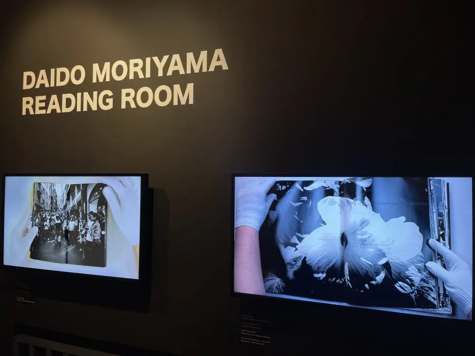 IMG_6848.JPG?type=w1