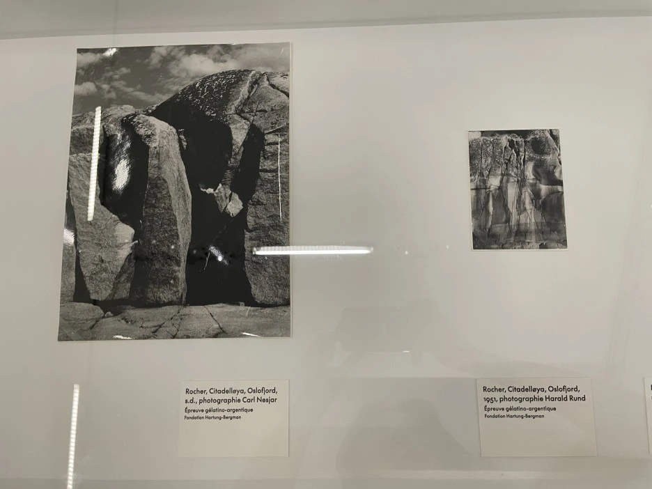 IMG_0501.JPG?type=w1