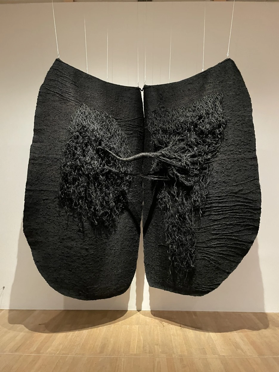 IMG_5521.JPG?type=w1