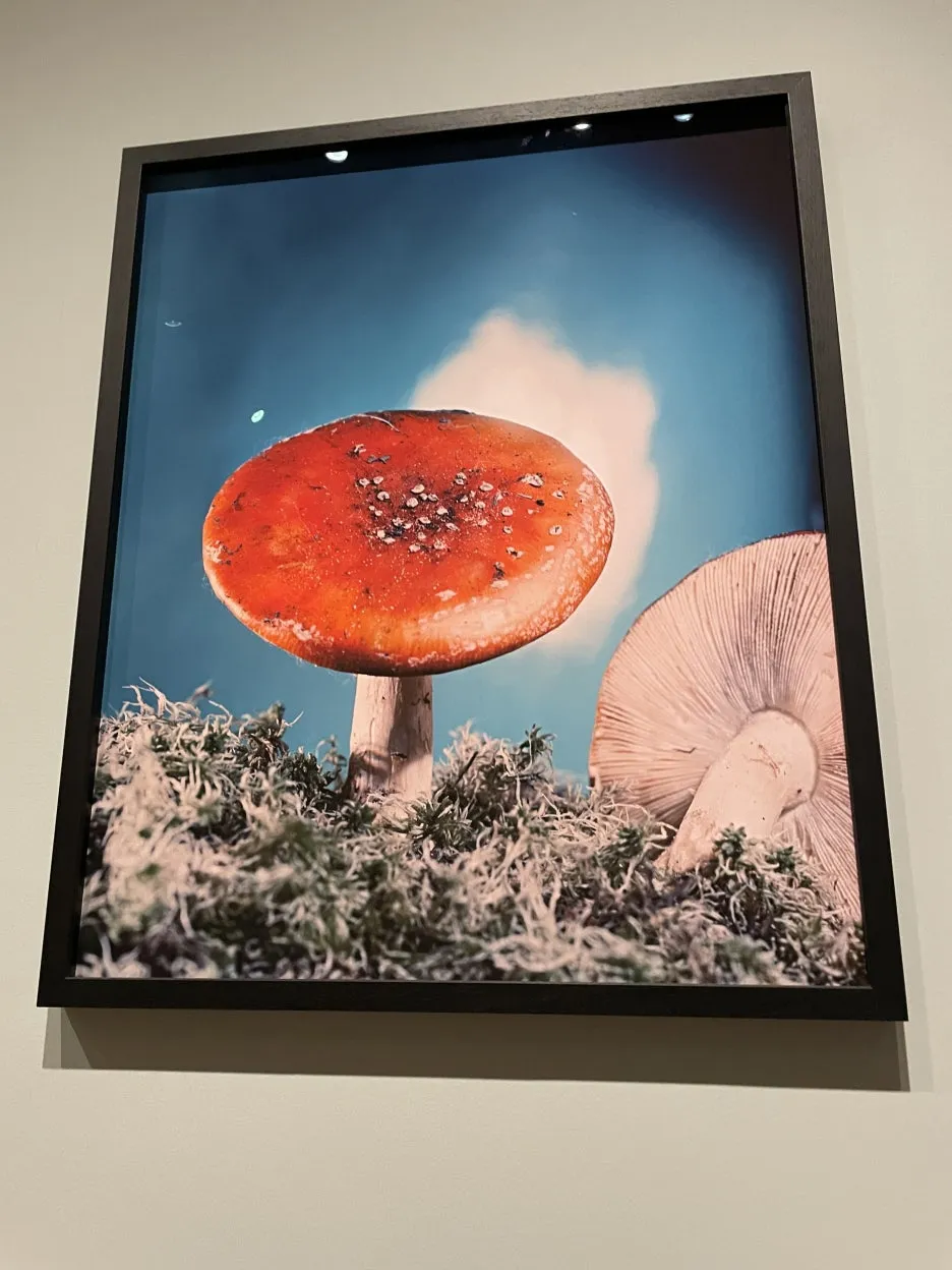 IMG_5068.JPG?type=w1