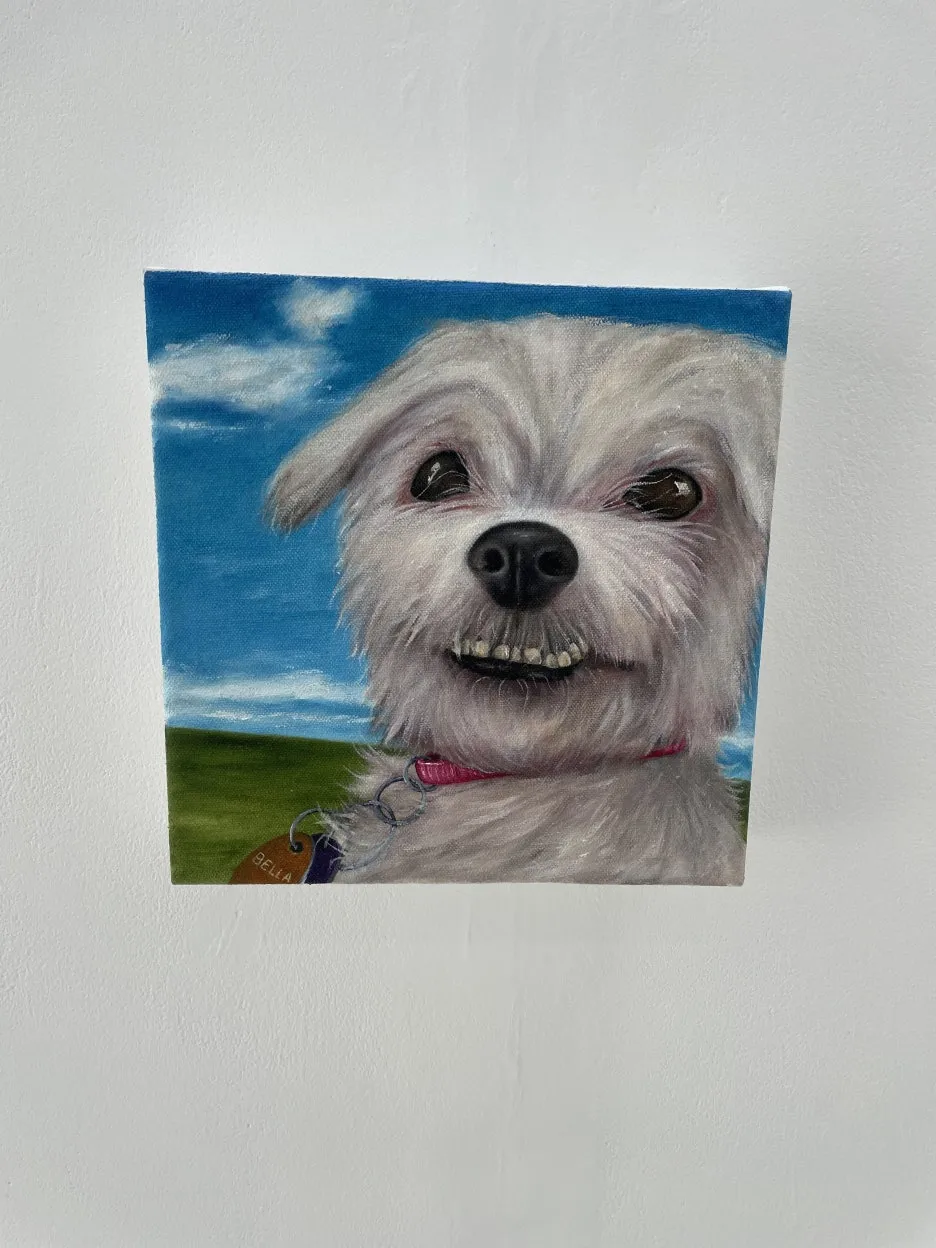 IMG_2078.JPG?type=w1