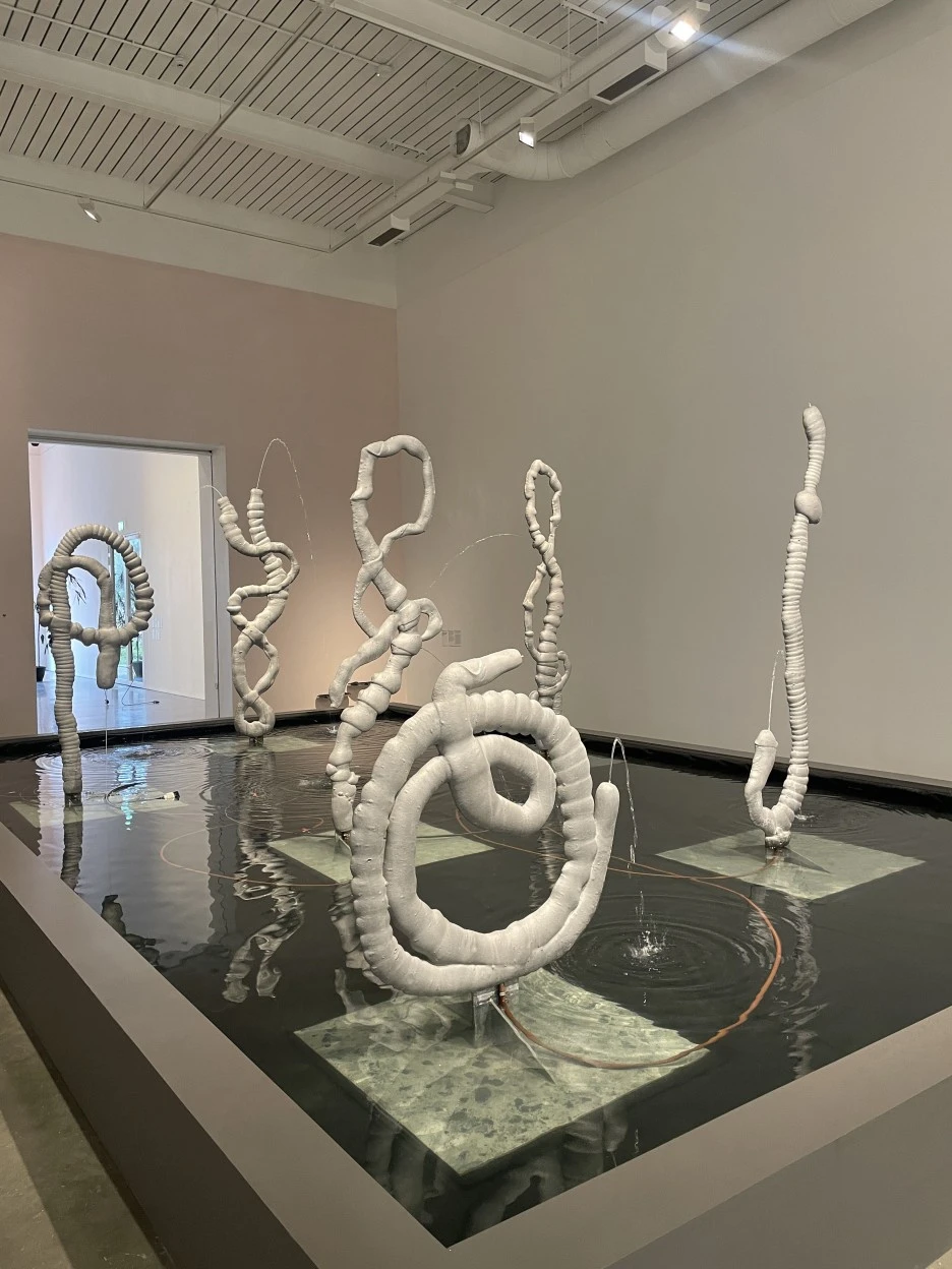 IMG_2968.JPG?type=w1