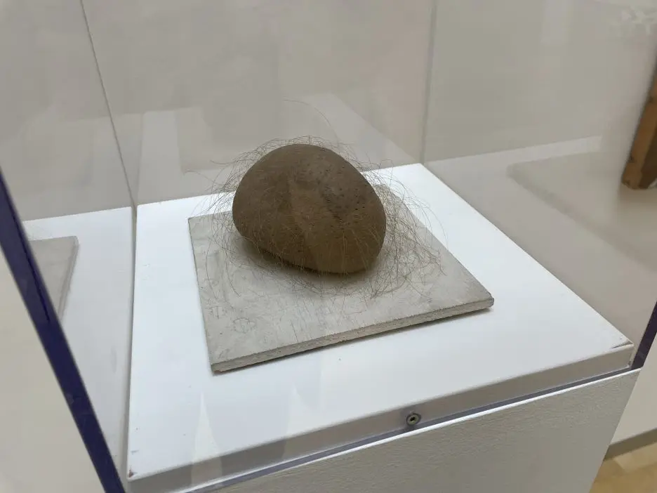 IMG_0218.JPG?type=w1