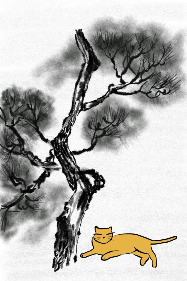 IMG_3494.JPG?type=w773