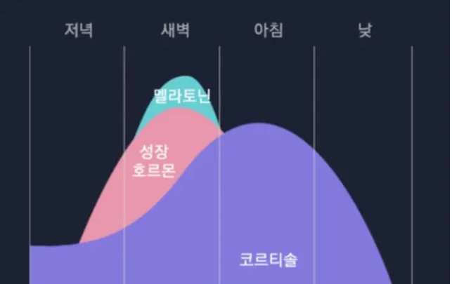 수면패턴.JPG