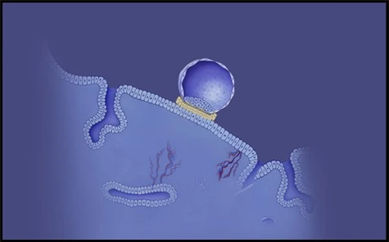 image01.png?type=w1600