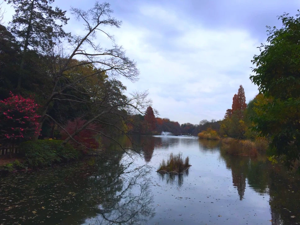 image_1615609581514429852523.jpg?type=w966