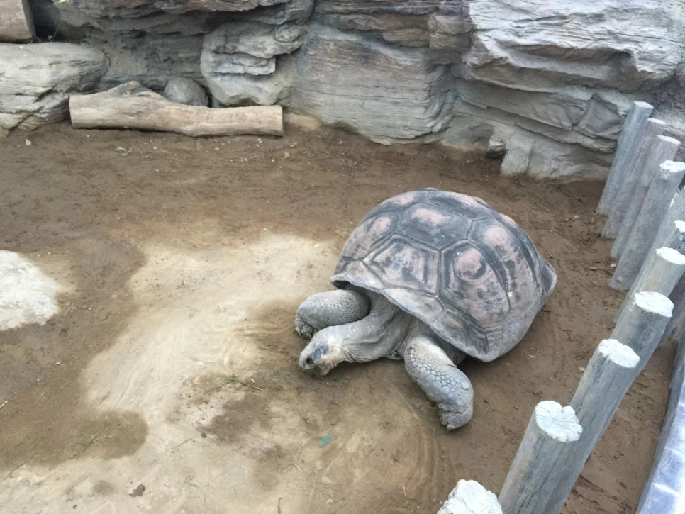 IMG_5770.JPG?type=w966