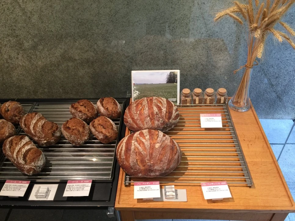 IMG_5574.jpg?type=w966